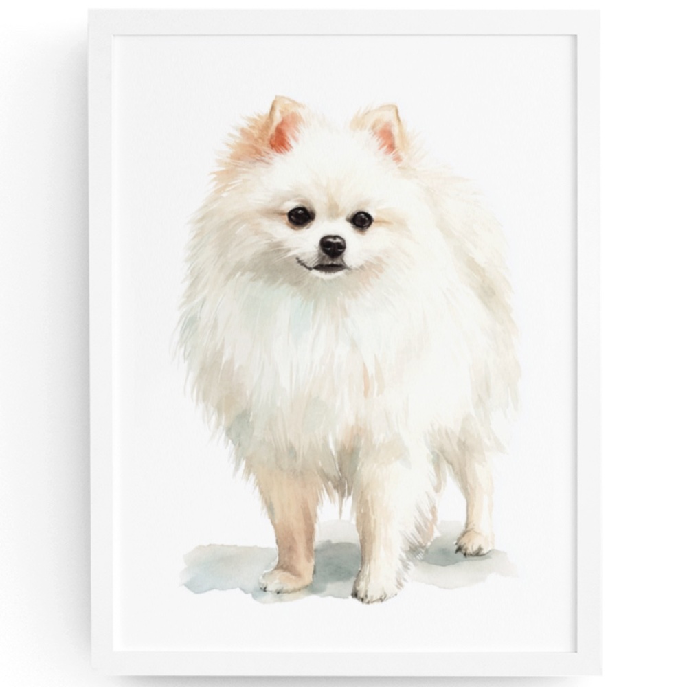 Watercolor Pomeranian Dog Portrait Art Print – Unframed Fine Art Poster